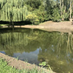 Completed pond cleaning 3 - Norfolk